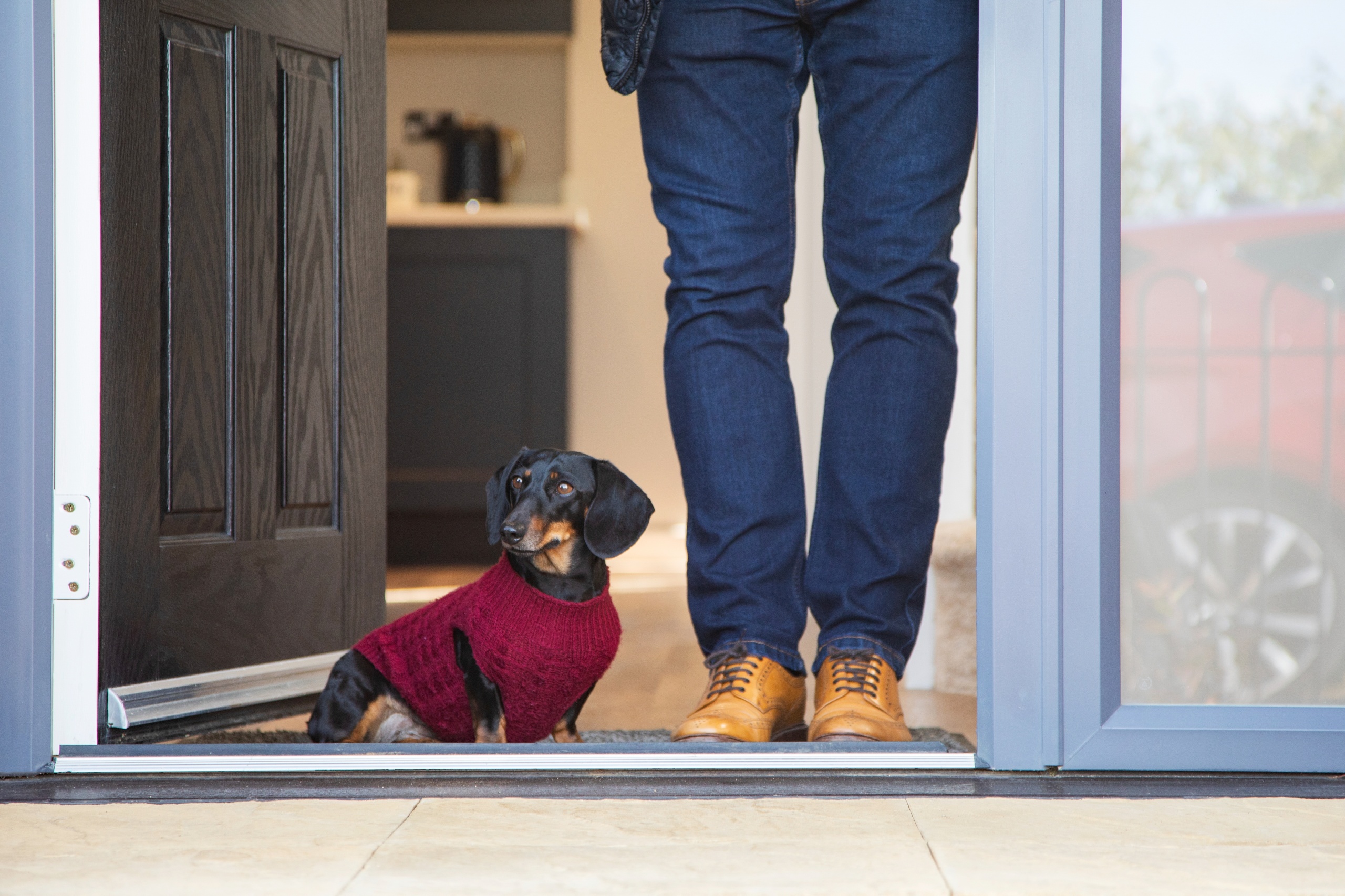 A sausage dog stood in a doorway next to his owners feet